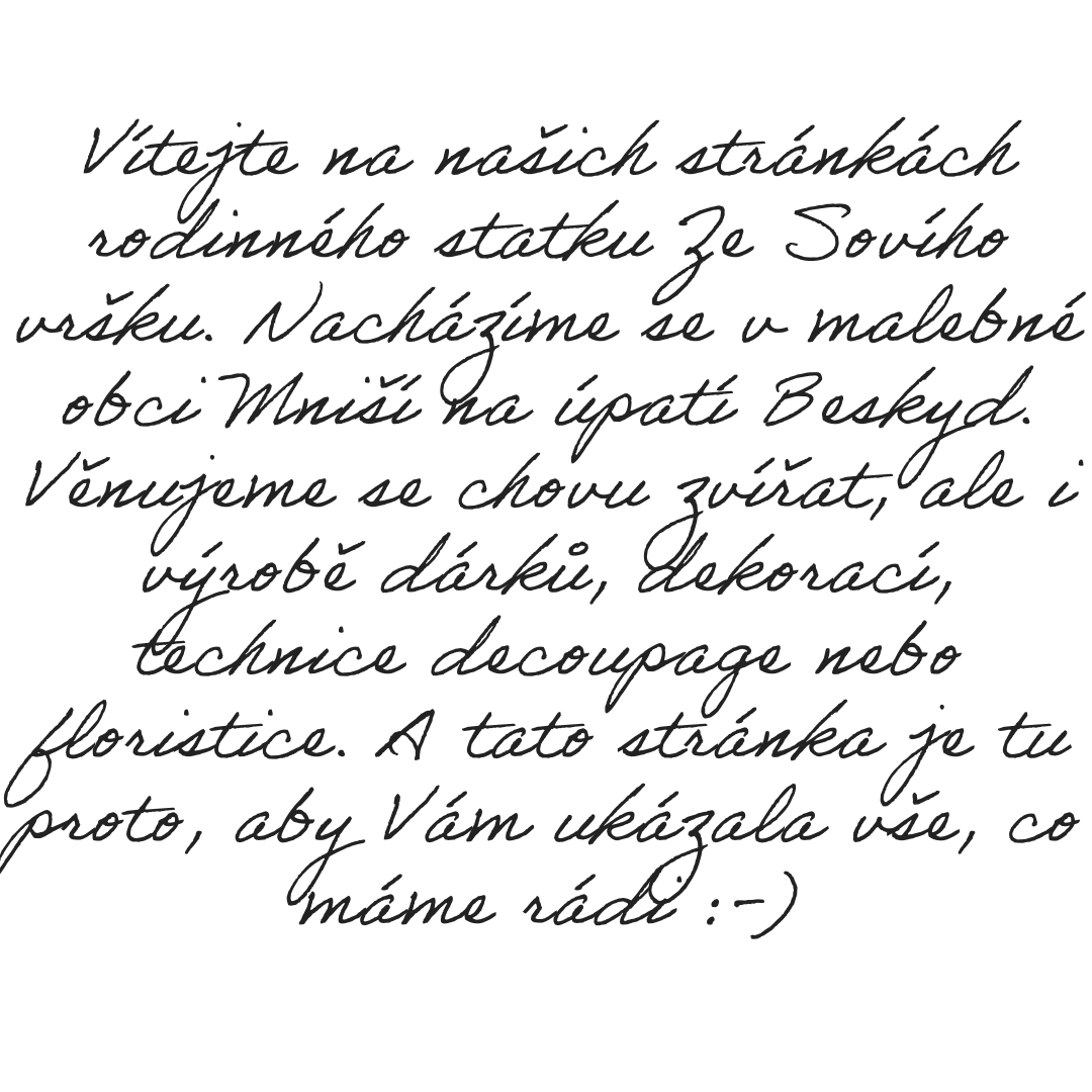 Untitled (5)